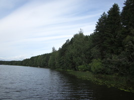 Река Медведица и Калиновый ручей